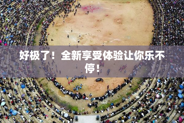 好极了！全新享受体验让你乐不停！