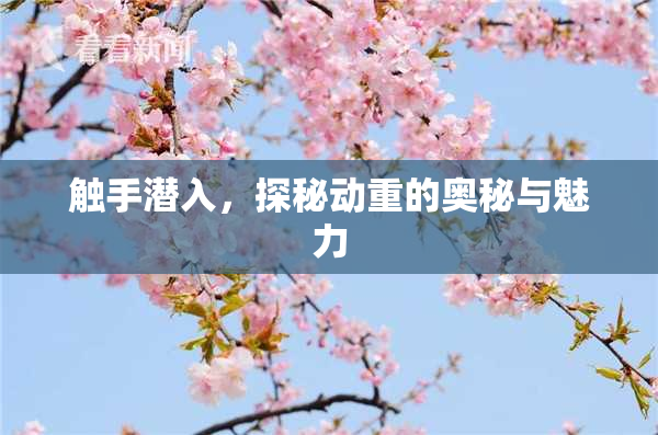 触手潜入，探秘动重的奥秘与魅力