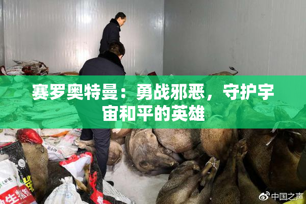 赛罗奥特曼：勇战邪恶，守护宇宙和平的英雄