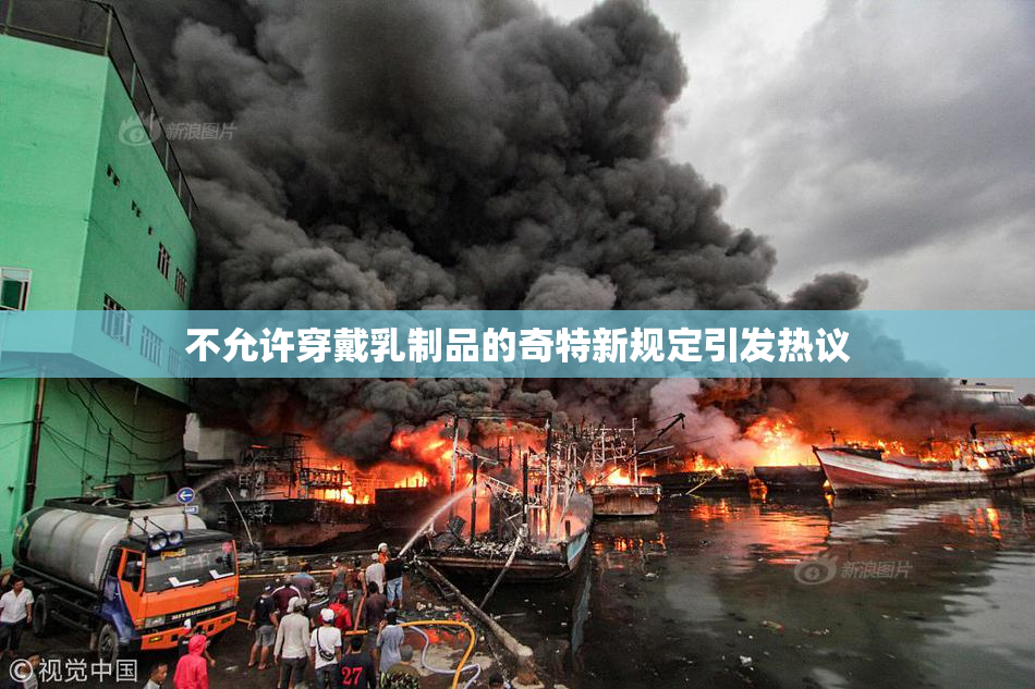 不允许穿戴乳制品的奇特新规定引发热议