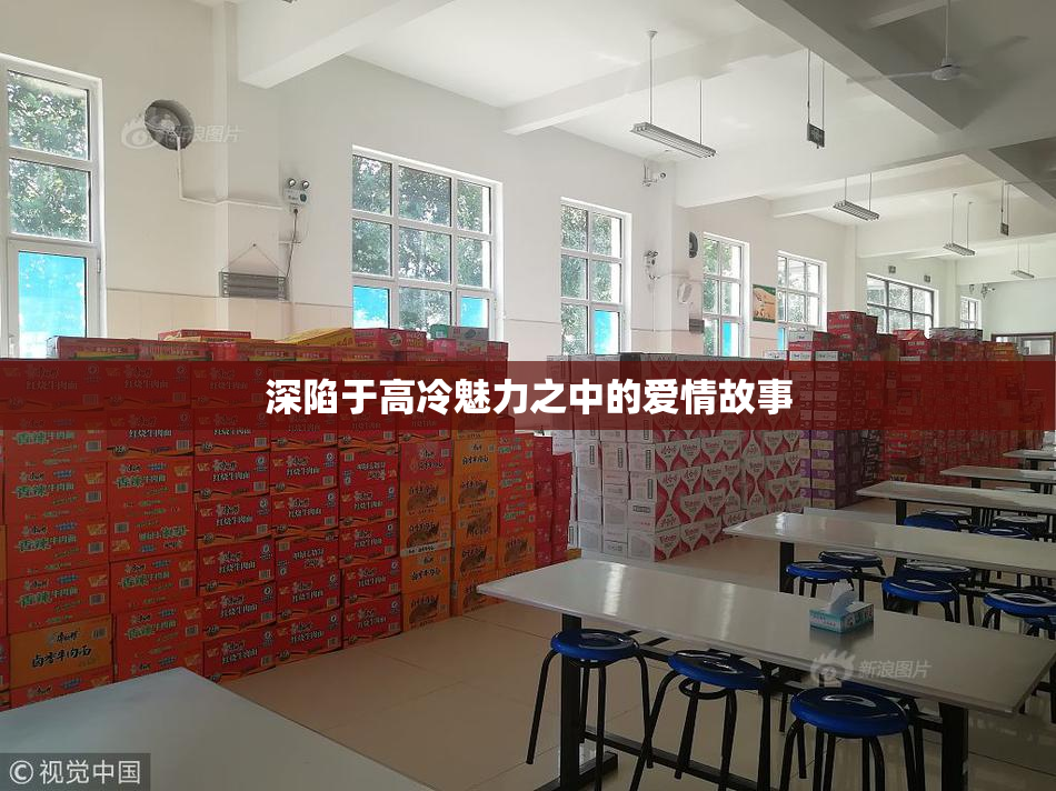 深陷于高冷魅力之中的爱情故事