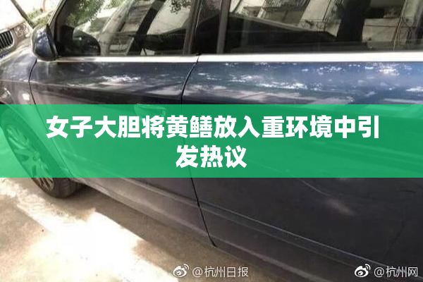 女子大胆将黄鳝放入重环境中引发热议
