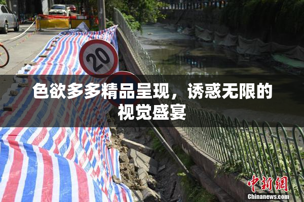 色欲多多精品呈现，诱惑无限的视觉盛宴