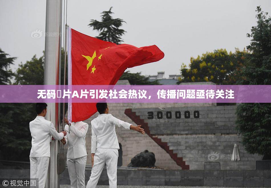 无码婬片A片引发社会热议，传播问题亟待关注