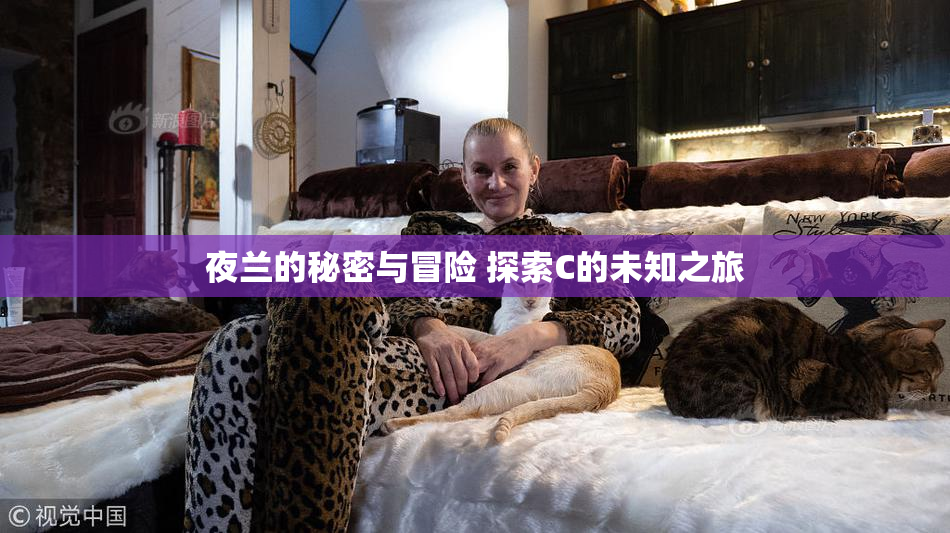 夜兰的秘密与冒险 探索C的未知之旅