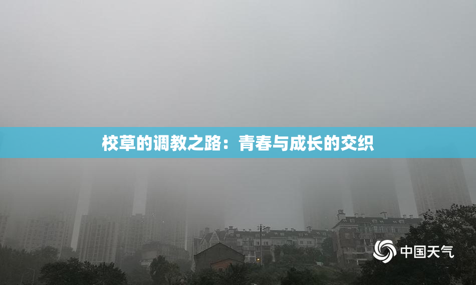 校草的调教之路：青春与成长的交织