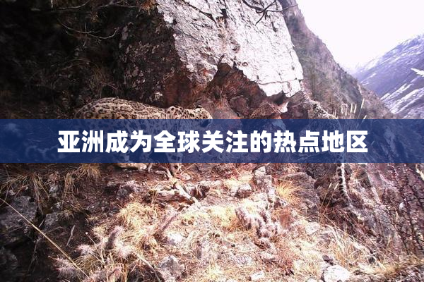 亚洲成为全球关注的热点地区
