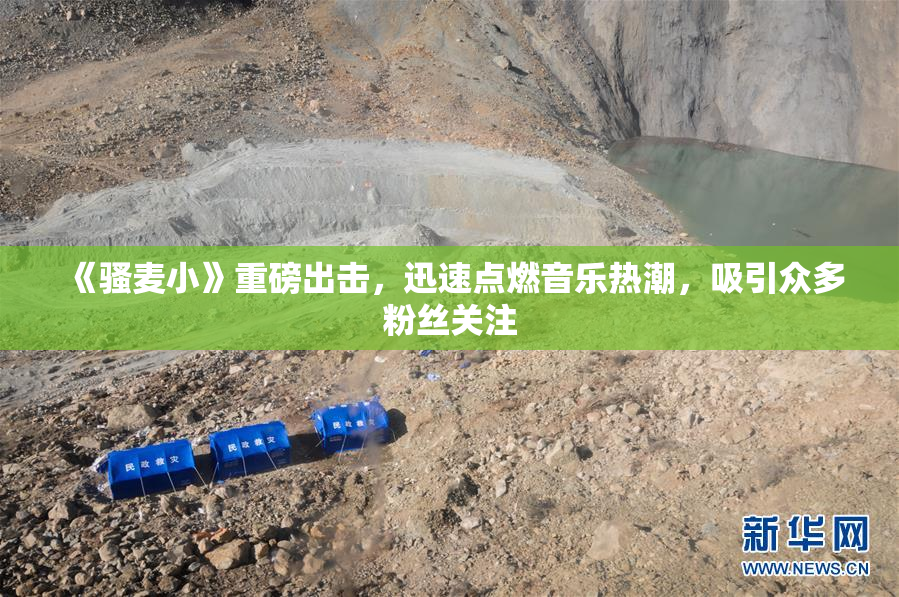 《骚麦小》重磅出击，迅速点燃音乐热潮，吸引众多粉丝关注
