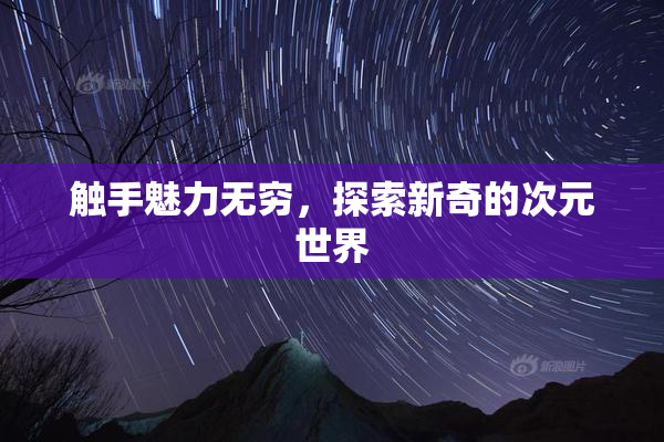 触手魅力无穷，探索新奇的次元世界
