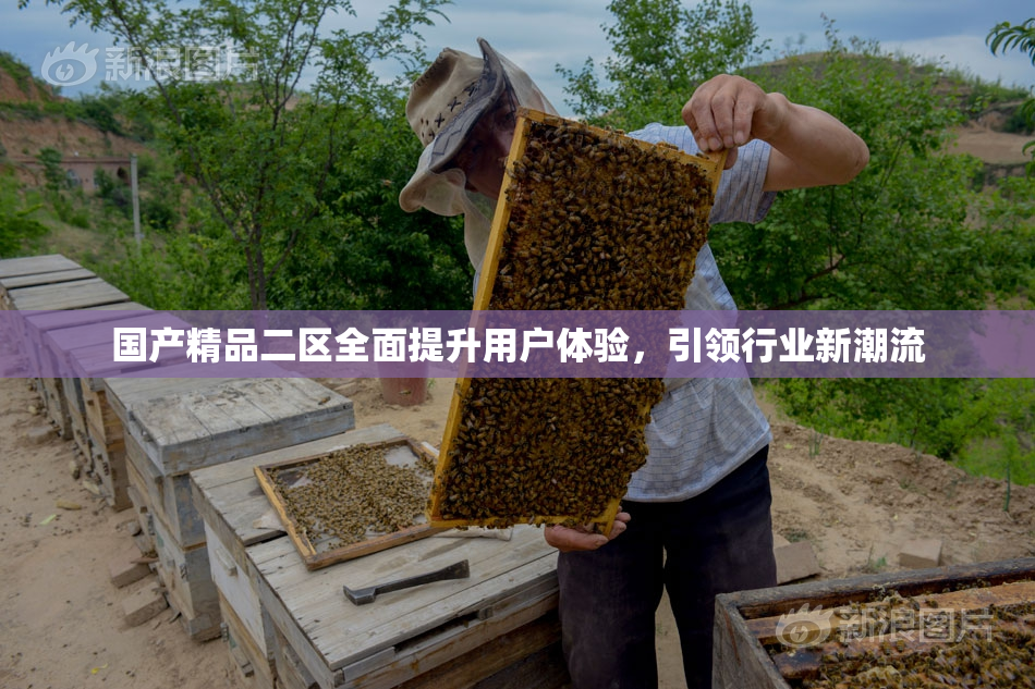 国产精品二区全面提升用户体验，引领行业新潮流