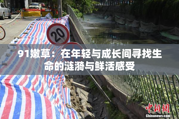 91嫩草：在年轻与成长间寻找生命的涟漪与鲜活感受