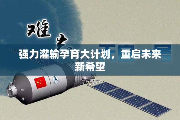强力灌输孕育大计划，重启未来新希望