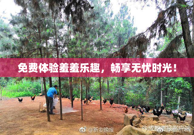 免费体验羞羞乐趣，畅享无忧时光！
