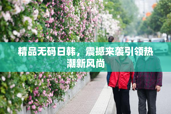 精品无码日韩，震撼来袭引领热潮新风尚