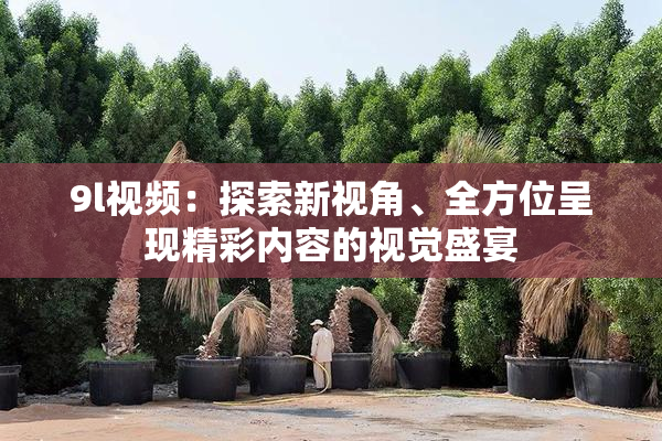 9l视频：探索新视角、全方位呈现精彩内容的视觉盛宴