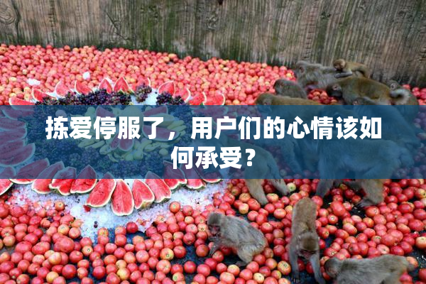 拣爱停服了，用户们的心情该如何承受？