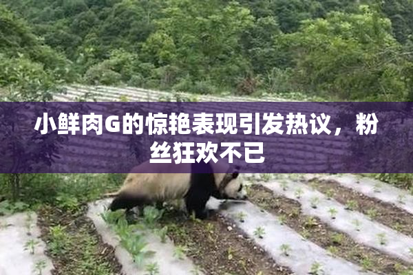 小鲜肉G的惊艳表现引发热议，粉丝狂欢不已