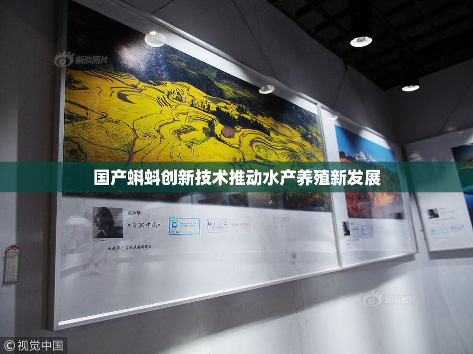 国产蝌蚪创新技术推动水产养殖新发展