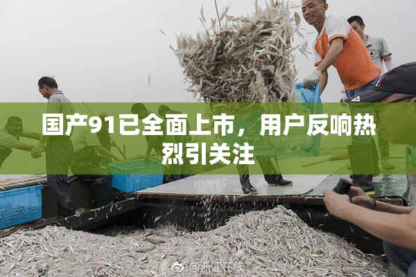 国产91已全面上市，用户反响热烈引关注