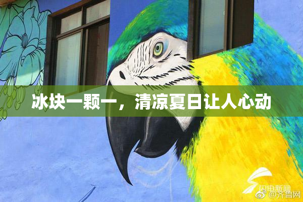 冰块一颗一，清凉夏日让人心动