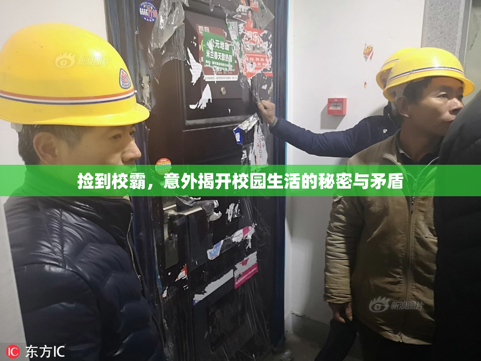 捡到校霸，意外揭开校园生活的秘密与矛盾