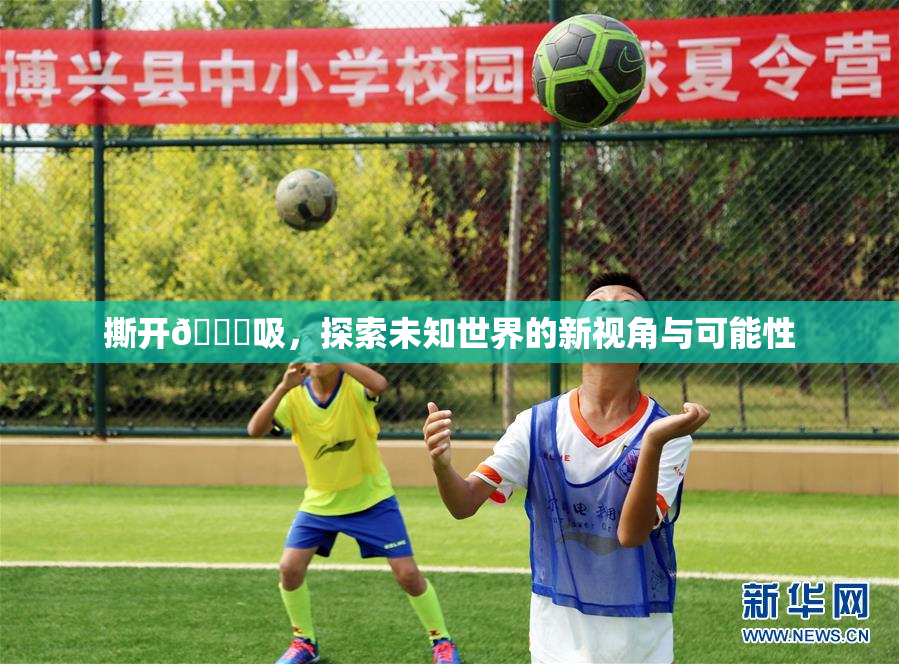 撕开👙吸，探索未知世界的新视角与可能性
