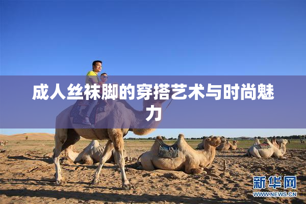成人丝袜脚的穿搭艺术与时尚魅力
