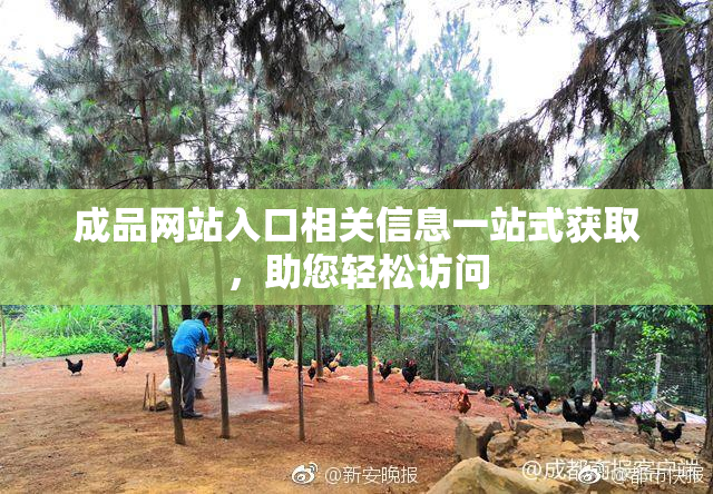 成品网站入口相关信息一站式获取，助您轻松访问