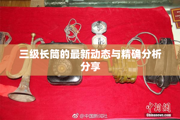 三级长筒的最新动态与精确分析分享