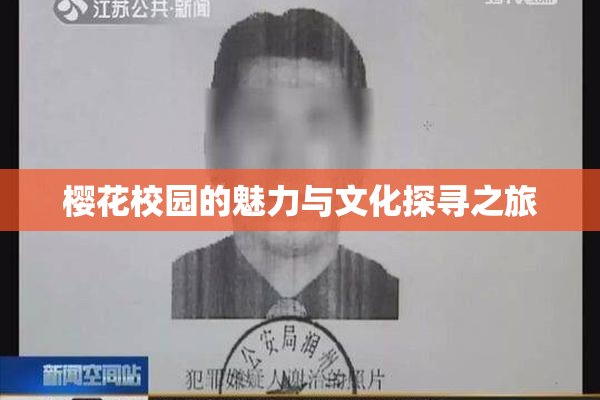 樱花校园的魅力与文化探寻之旅