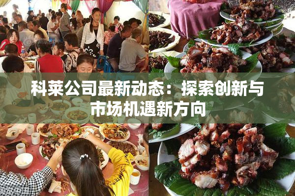 科莱公司最新动态：探索创新与市场机遇新方向