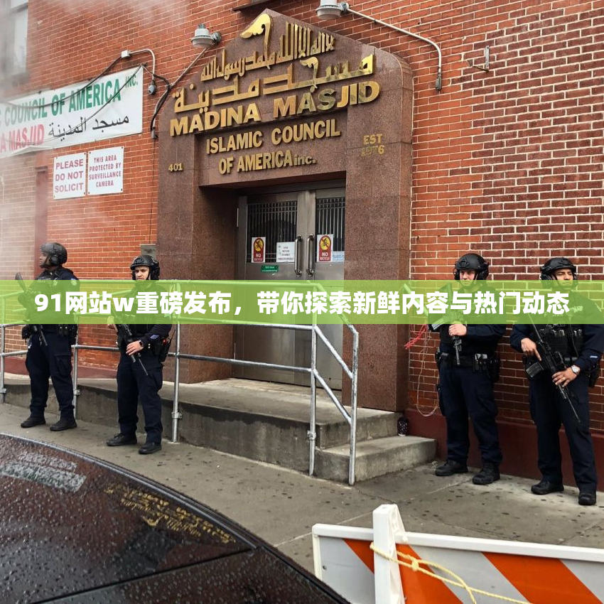 91网站w重磅发布，带你探索新鲜内容与热门动态