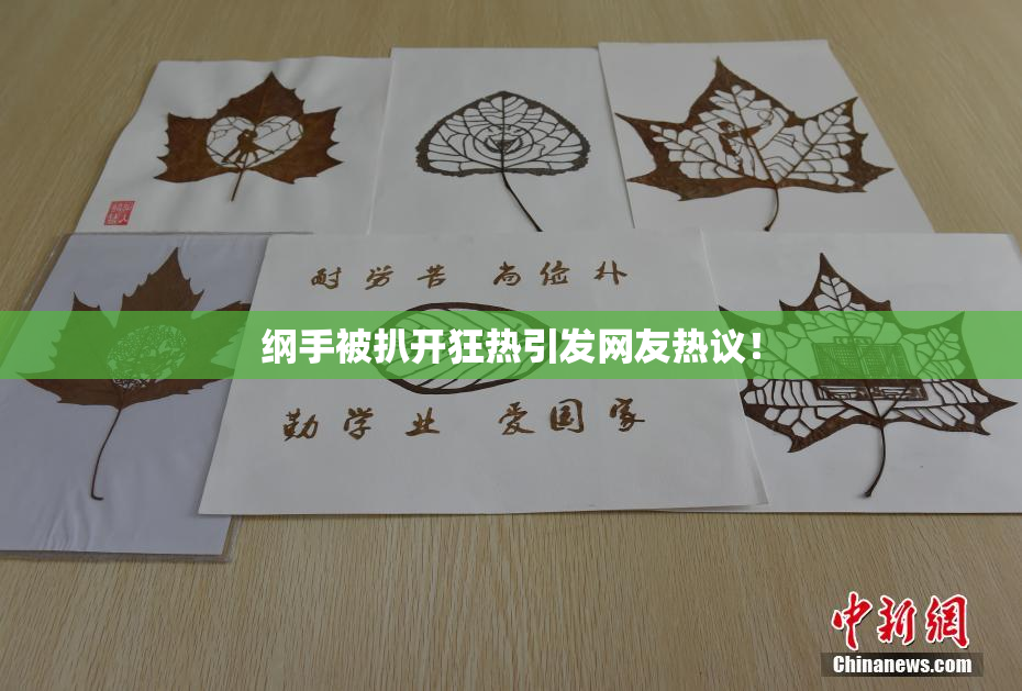 纲手被扒开狂热引发网友热议！