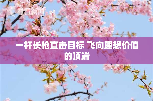 一杆长枪直击目标 飞向理想价值的顶端