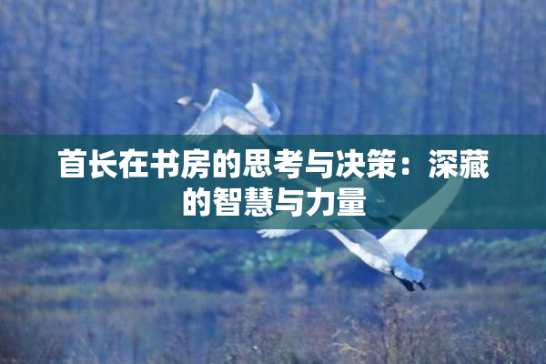 首长在书房的思考与决策：深藏的智慧与力量