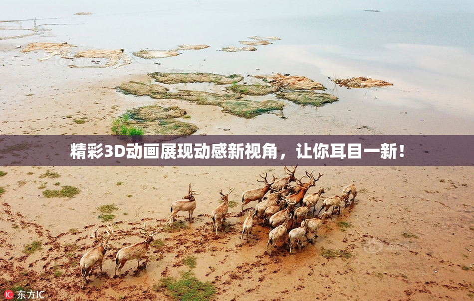精彩3D动画展现动感新视角，让你耳目一新！
