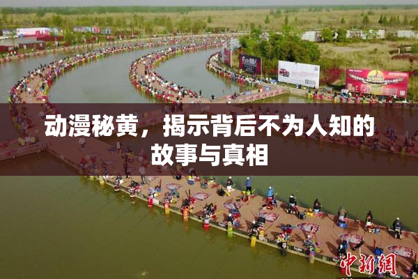 动漫秘黄，揭示背后不为人知的故事与真相