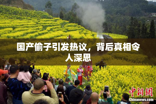 国产偷子引发热议，背后真相令人深思