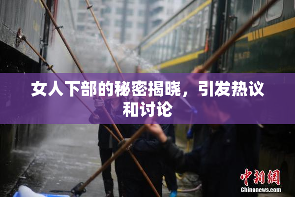 女人下部的秘密揭晓，引发热议和讨论