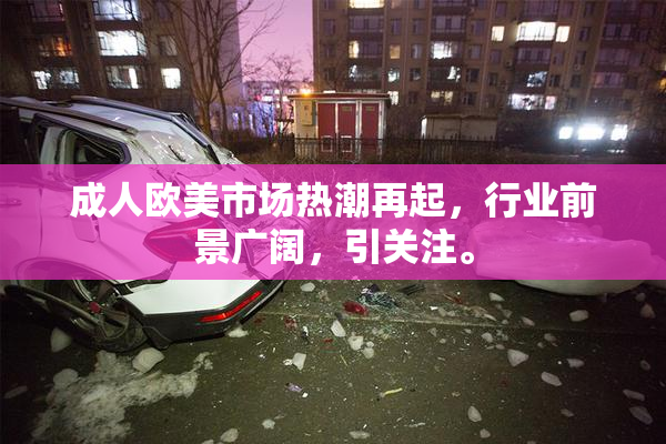 成人欧美市场热潮再起，行业前景广阔，引关注。