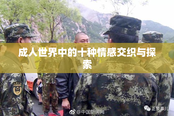 成人世界中的十种情感交织与探索