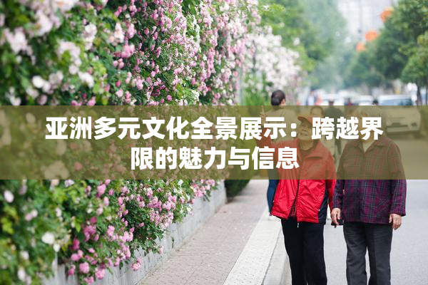 亚洲多元文化全景展示：跨越界限的魅力与信息