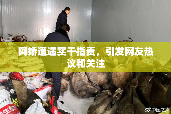 阿娇遭遇实干指责，引发网友热议和关注