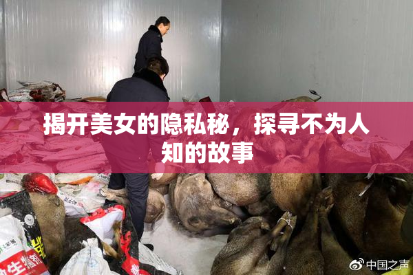 揭开美女的隐私秘，探寻不为人知的故事
