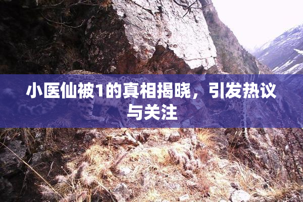 小医仙被1的真相揭晓，引发热议与关注