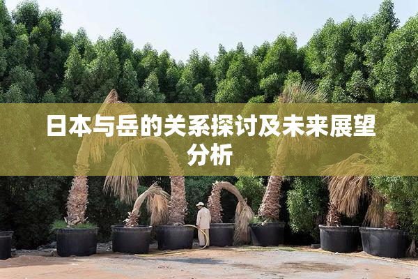 日本与岳的关系探讨及未来展望分析