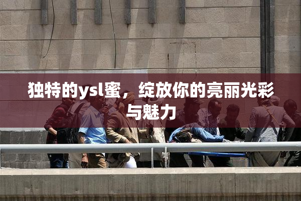 独特的ysl蜜，绽放你的亮丽光彩与魅力