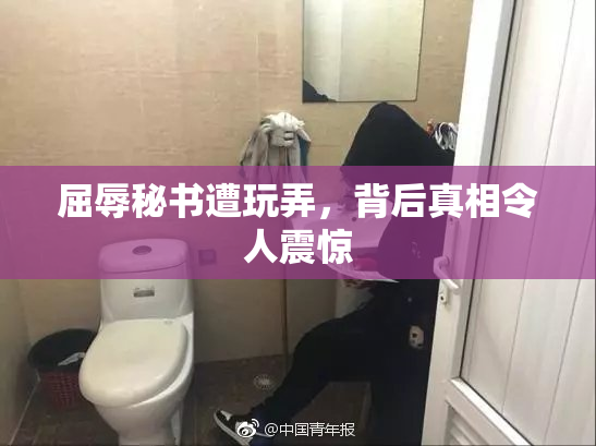 屈辱秘书遭玩弄，背后真相令人震惊