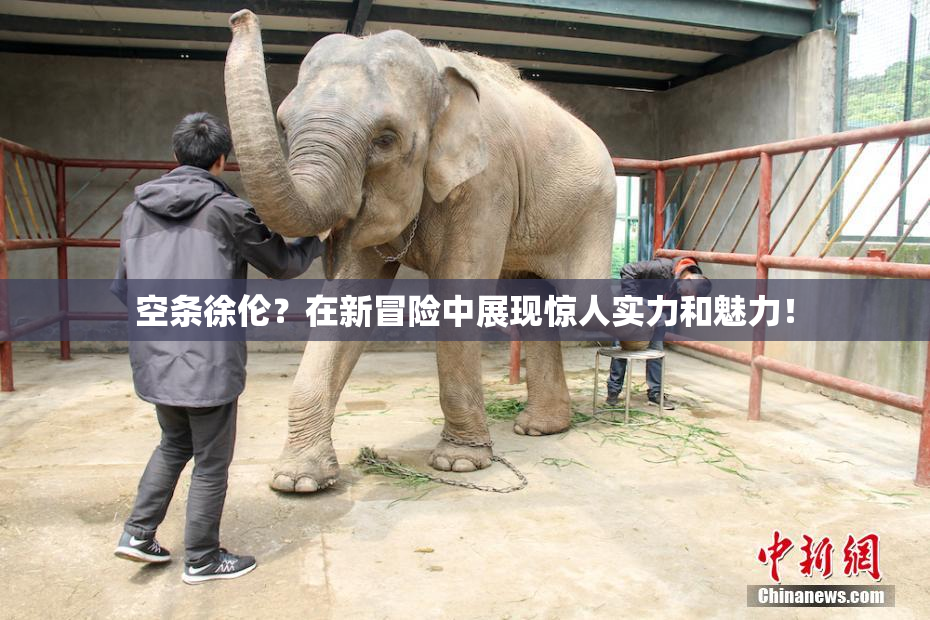 空条徐伦？在新冒险中展现惊人实力和魅力！