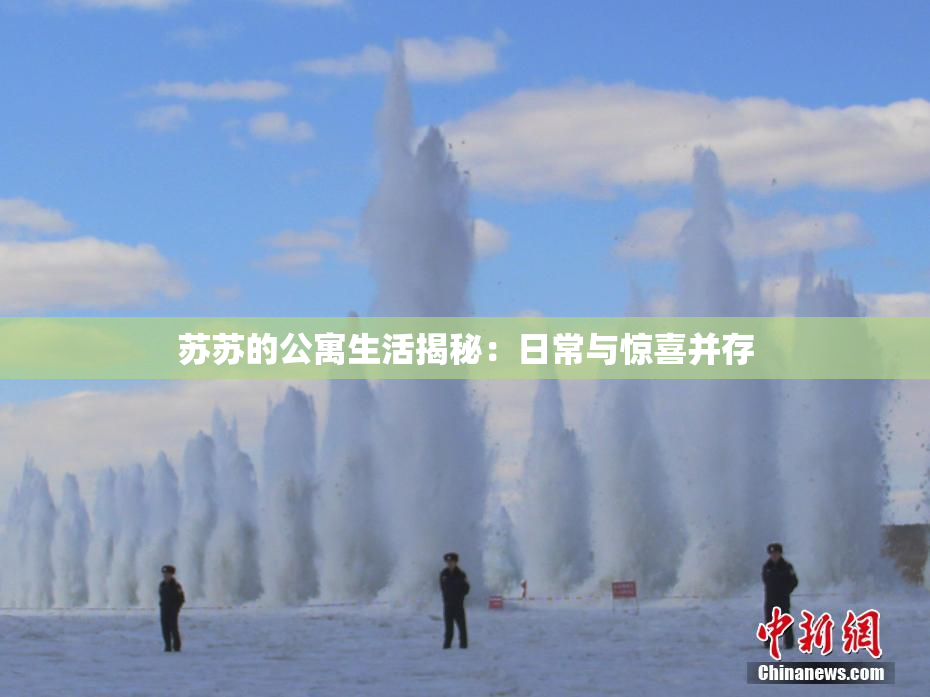 苏苏的公寓生活揭秘：日常与惊喜并存